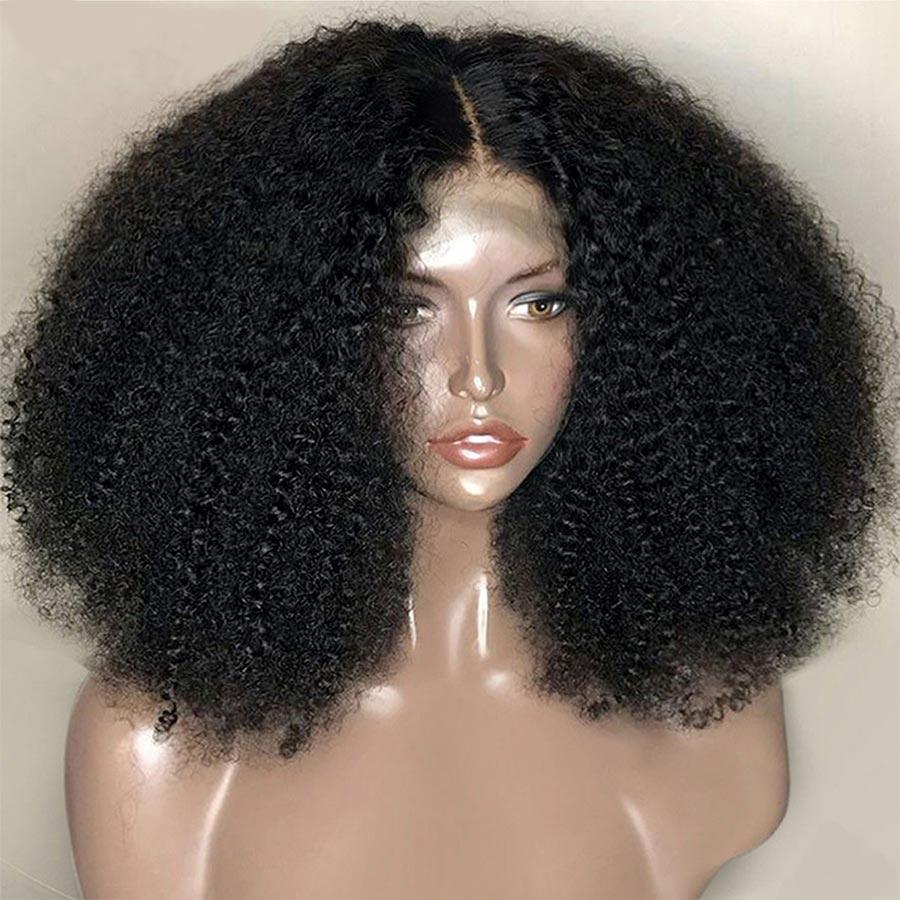 Afro Curly 4x4 Lace Closure Wigs Preplucked Human Hair Skin Melt Lace Wigs for Women - ORIGINAL QUEEN HAIR